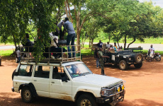 safari_mole_nationalpark_011